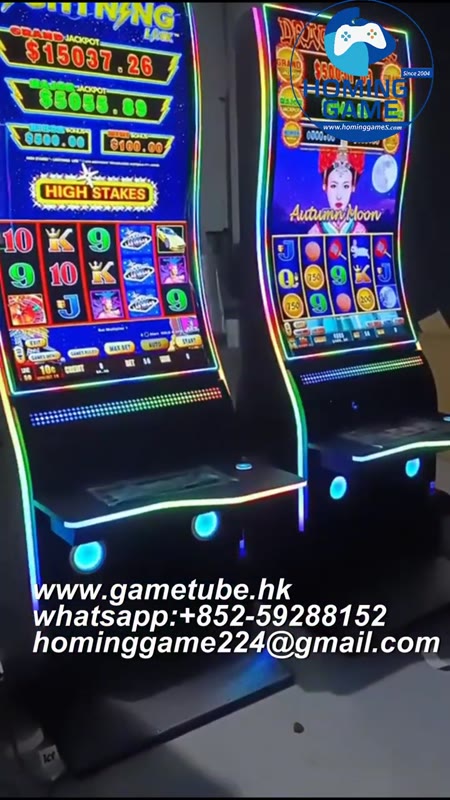 HomingGame 2026 Factory Direct Wholesale 55 Inch S-Curve Metal Skill Slot Table Game Machine Luxury Upright Touch Screen Multiple Slot Game Board Arcade Cabinet with RGB Lighting